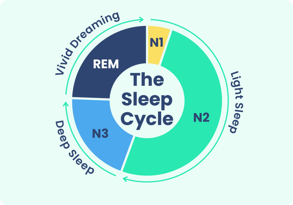 Sleep Environment, REM Sleep